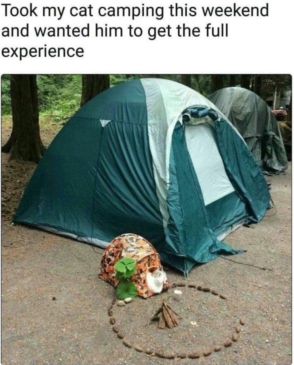 family camping trip meme