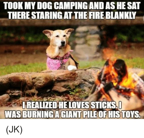 family camping trip meme