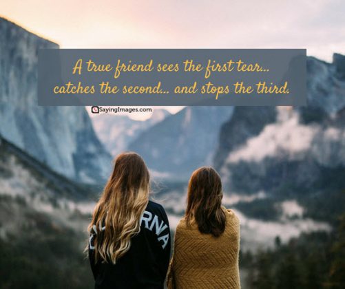 Top 50 Classical Quotes About Friends & Friendship | SayingImages.com