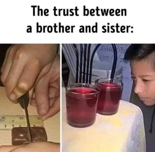 trust siblings memes