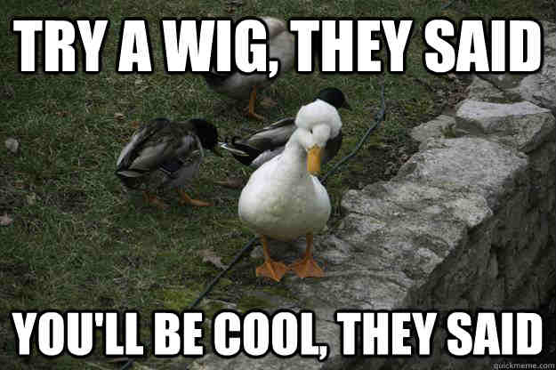 Totally Adorable Duck Memes You Won T Be Able To Resist SayingImages Com