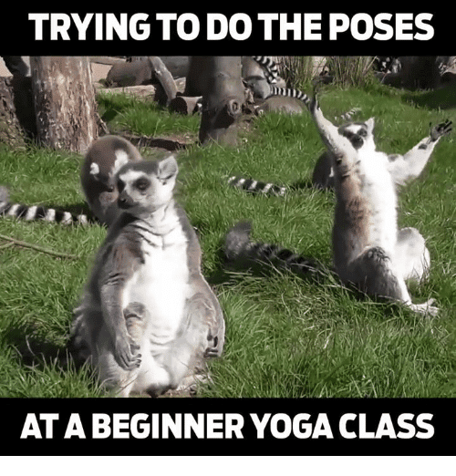 20 Yoga Memes That Are Honestly Funny, SayingImages.com