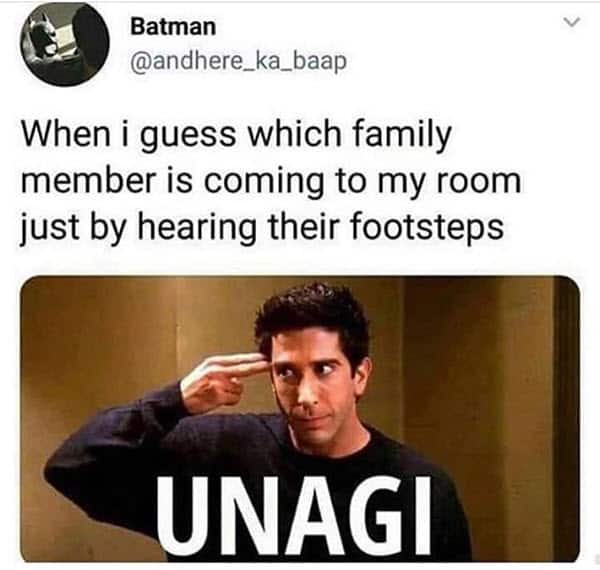 unagi friends meme