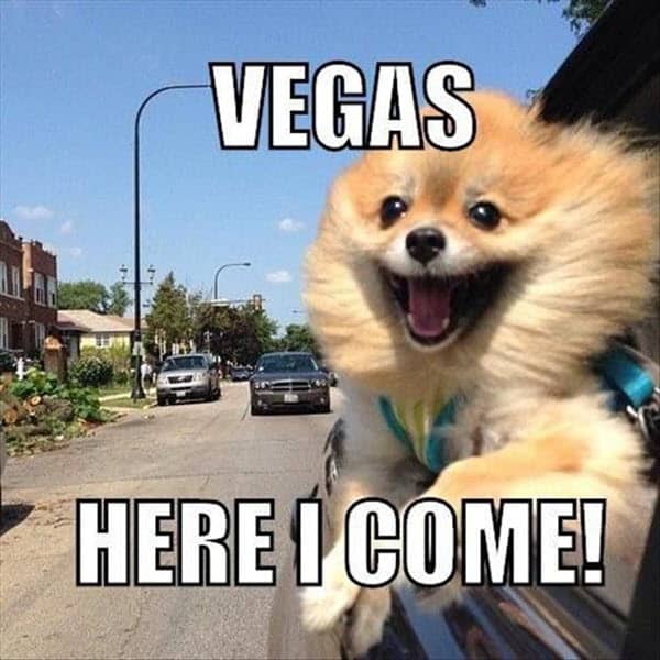 vegas here i come meme