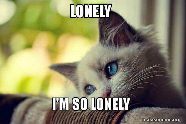 30 Lonely Memes To Make You Feel Less Alone SayingImages