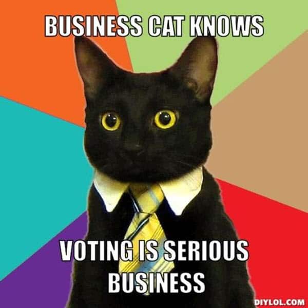 voting business cat meme