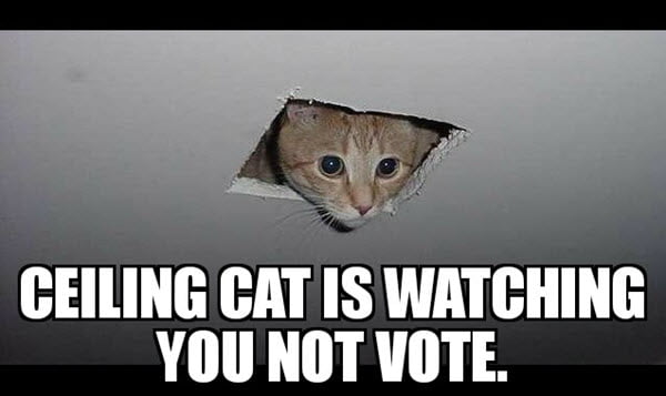 voting ceiling cat meme