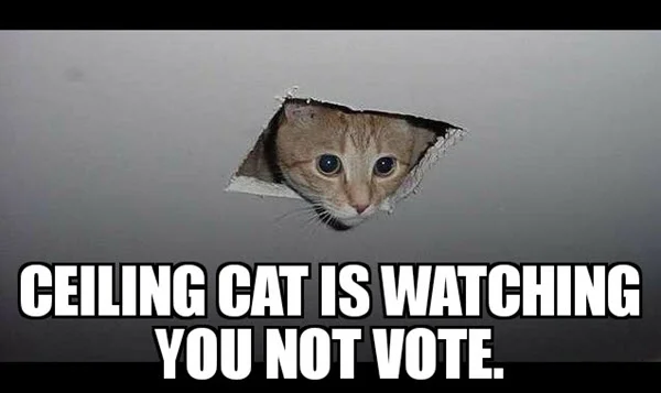 voting ceiling cat meme