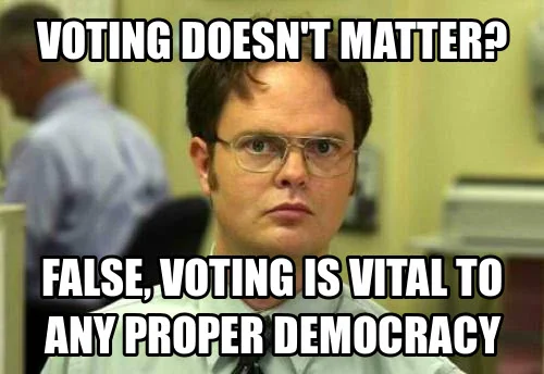 voting does not matter meme