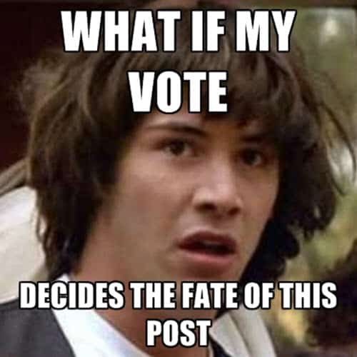 voting what if my vote meme