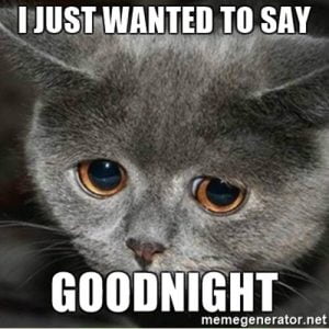 50 Cutest Goodnight Memes - SayingImages.com