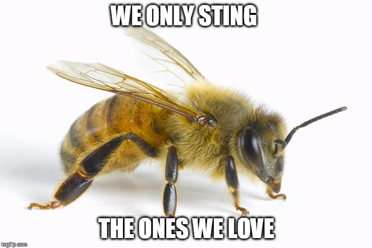 we-only-sting-bee-meme.jpg