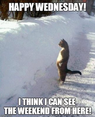 30 Really Funny Wednesday Memes to Get You Through The Week