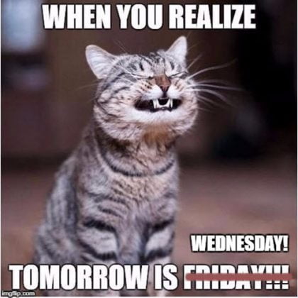30 Really Funny Wednesday Memes to Get You Through The Week