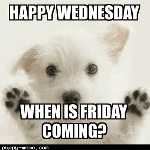 wednesday when is friday coming meme