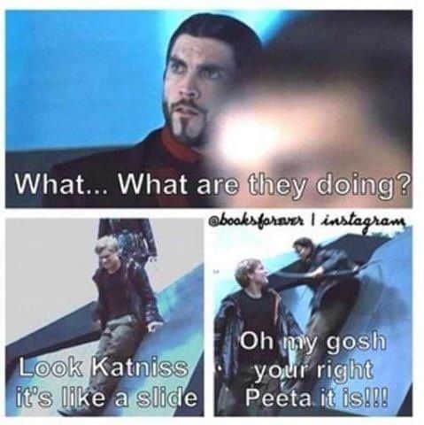 20 Hunger Games Memes That Only Fans Will Understand | SayingImages.com