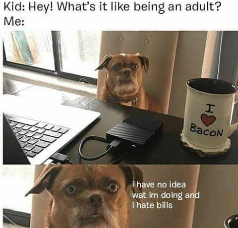 25 Funny Adulting Memes For Panicking Grown Ups ...