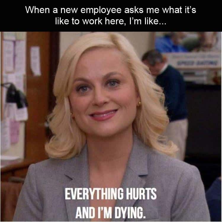 17 Bittersweet New Employee Memes For Office Use - SayingImages.com