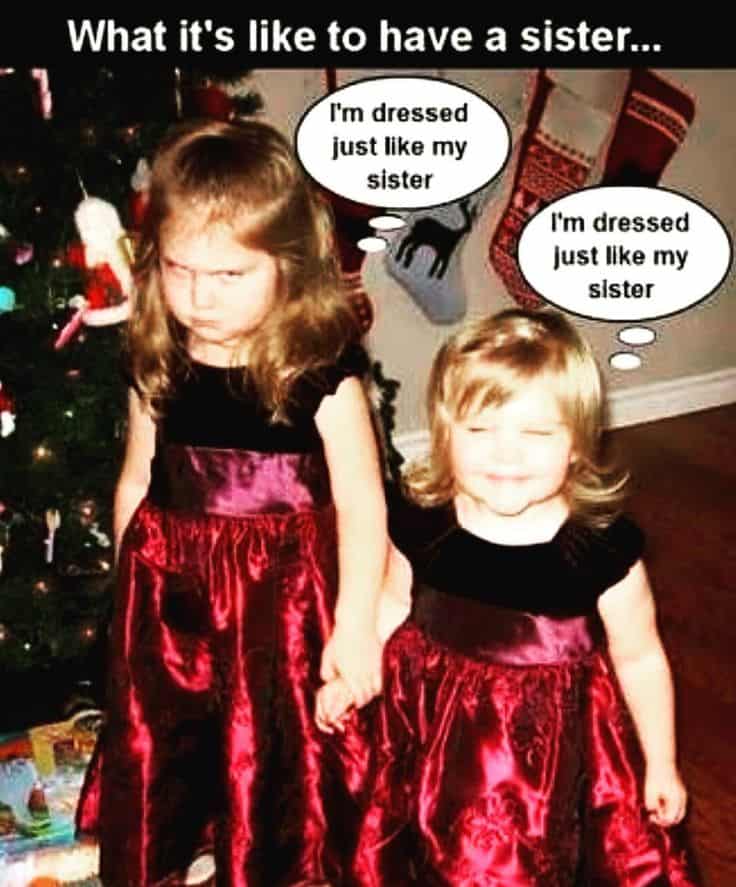 30 Totally Funny Sister Memes We Can All Relate To SayingImages