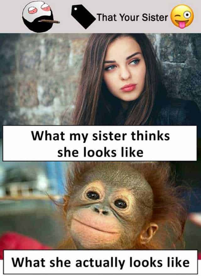 30 Totally Funny Sister Memes We Can All Relate To - SayingImages.com