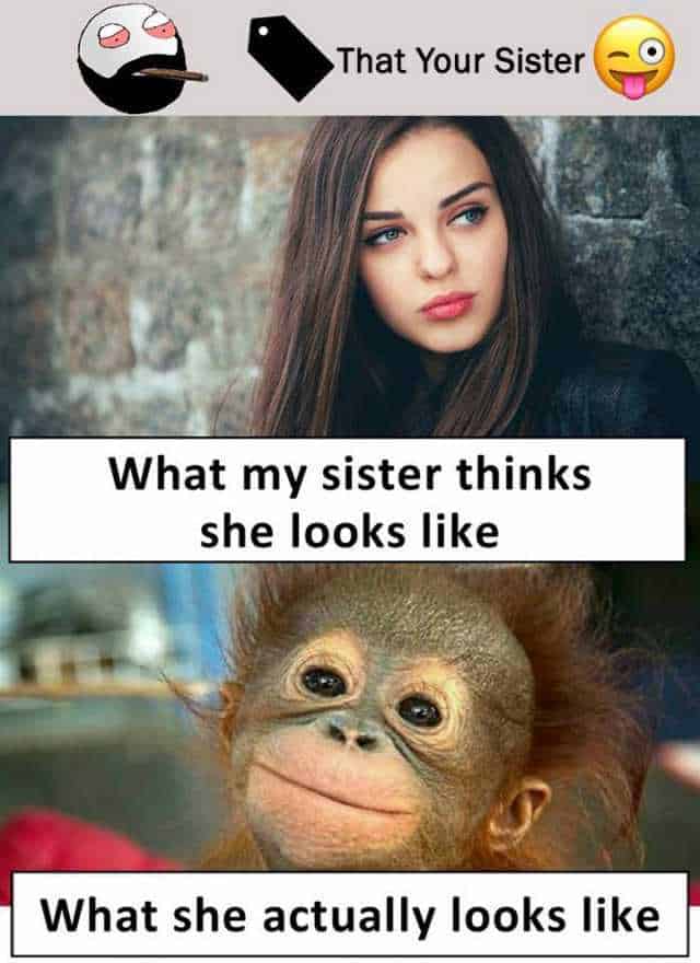 Funny Memes About Sisters That Will Make You Laugh Funny Memes – NBKomputer