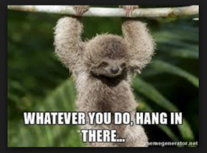 20 Hang In There Meme To Motivate You - SayingImages.com