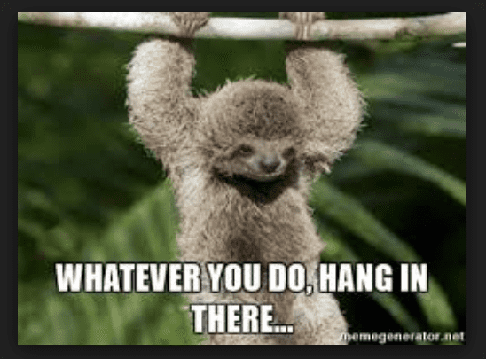 20 Hang In There Meme To Motivate You - SayingImages.com