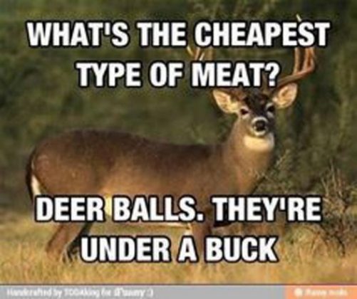 The 20 Best Deer Hunting Memes (So Far) | SayingImages.com