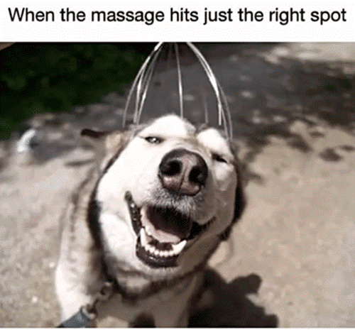 25 Massage Memes For Massage Enthusiasts 