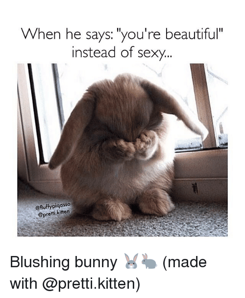 20 Blushing Memes That Are Way Too Cute to Be Resisted - SayingImages.com