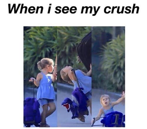 40 Funny Crush Memes You Probably Know Too Well Sayingimages Com