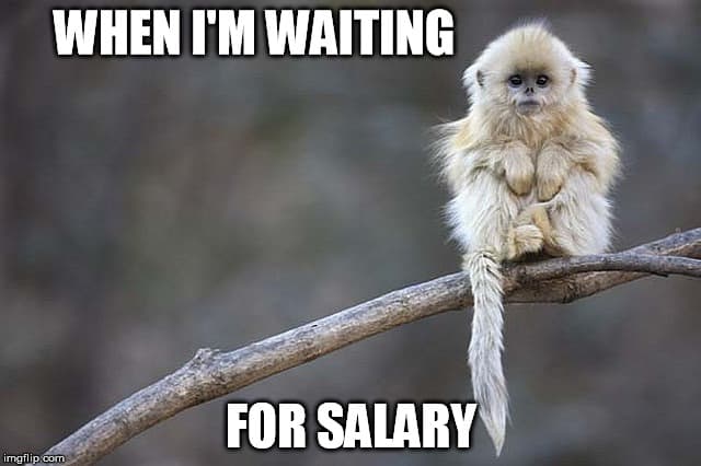 20 Really Funny It Hurts Your Wallet Salary Memes - SayingImages.com