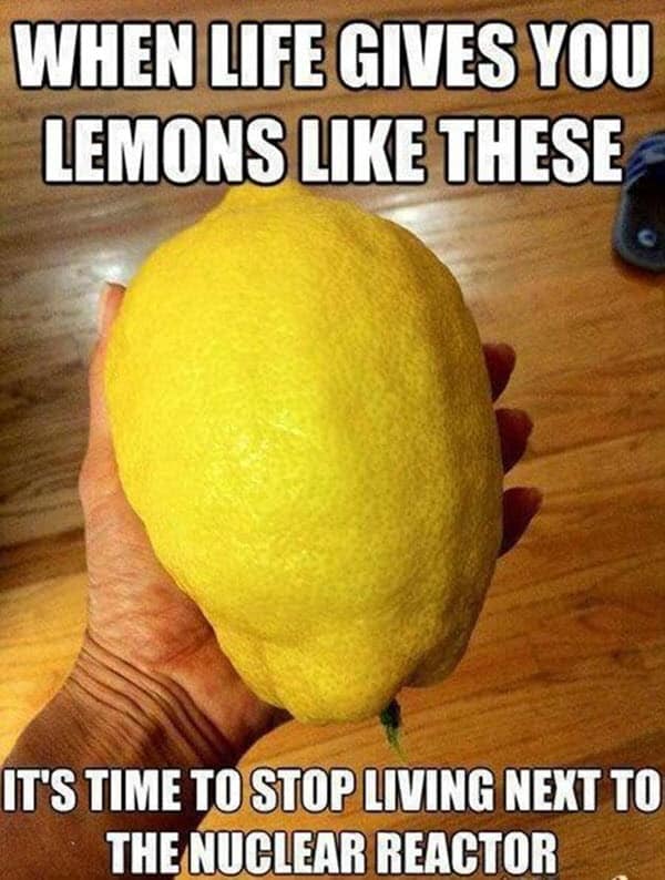 when life gives you lemons meme