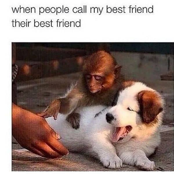 50 Best Friend Memes That'll Make You Want To Tag Your BFF Now -  