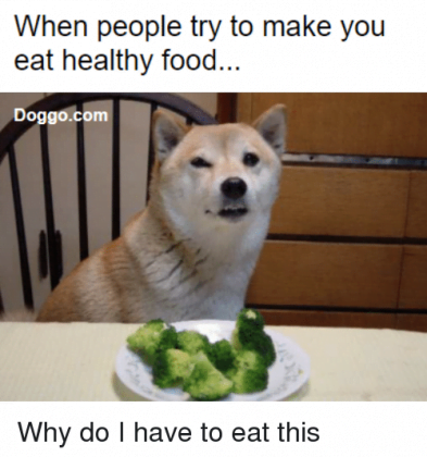 20 Funny Life Changing Eating Healthy Memes - SayingImages.com