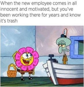 17 Bittersweet New Employee Memes For Office Use - SayingImages.com