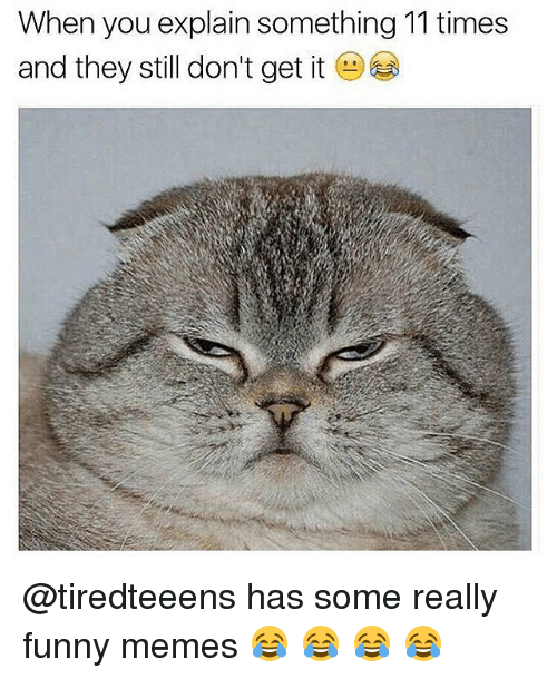 30 Really Funny Memes That Will Be Happy To Share SayingImages