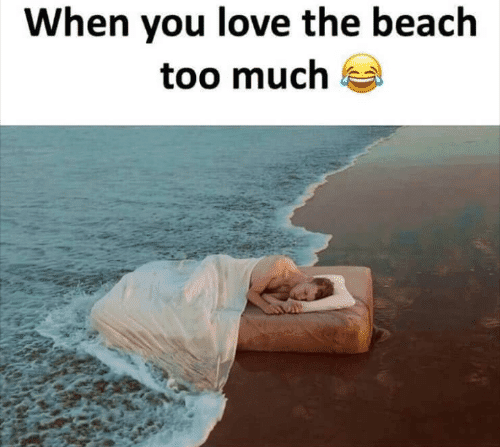 Relatable Beach Memes For The Summer Season Quoteswithpicture Com