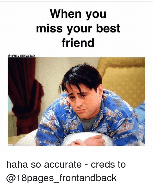 dating your best friend meme