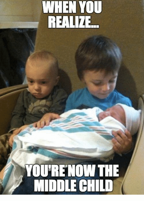 15 Hilarious Middle Child Memes That Feel So Familiar - SayingImages.com