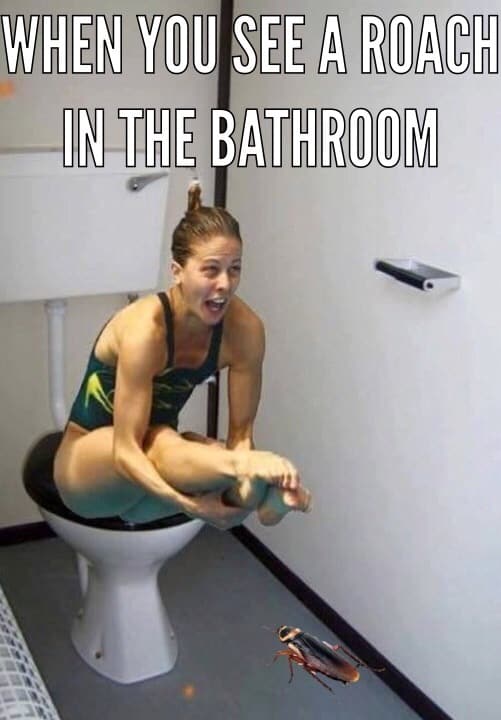 funny pics of people on the toilet