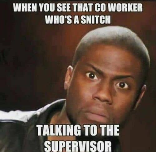 40 Funny Coworker Memes About Your Colleagues - SayingImages.com