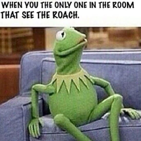 25 Kermit the Frog Memes That Are Insanely Hilarious