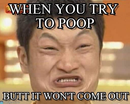 You Pooped Meme