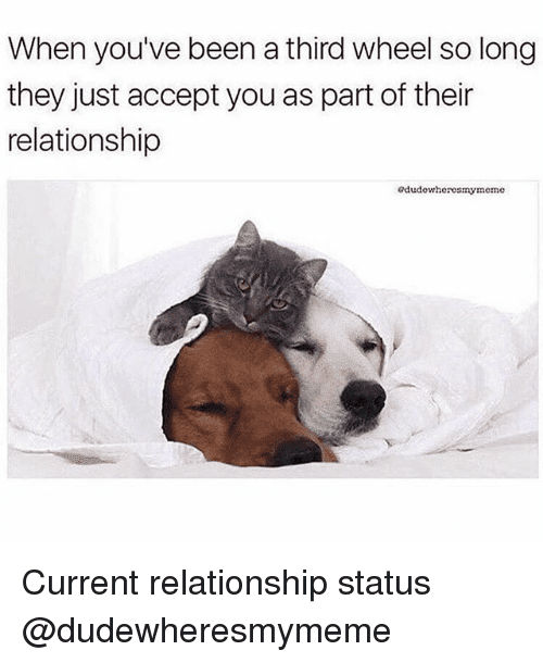 25 Funny Third Wheel Memes For People Stuck With Amorous Couples