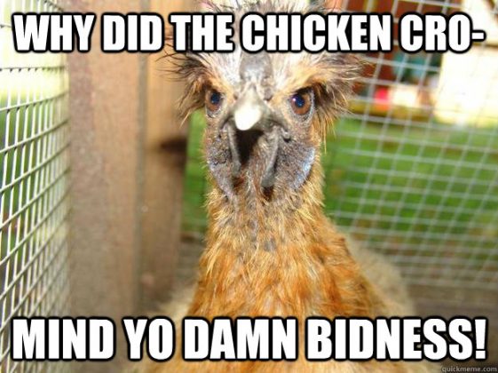 20 Chicken Memes That Are Surprisingly Funny - SayingImages.com