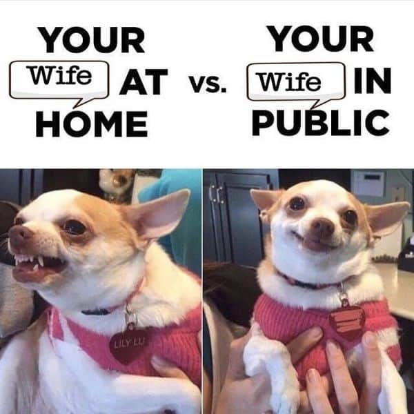 wife at home memes