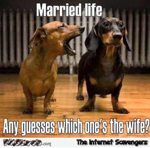 wife married life memes