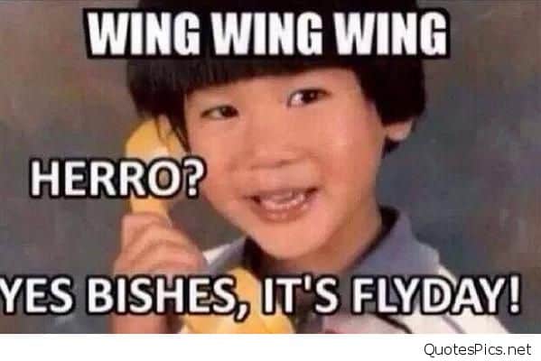 Wing Wing Wing Herro Yes Bishes Its Flyday Its Friday Meme