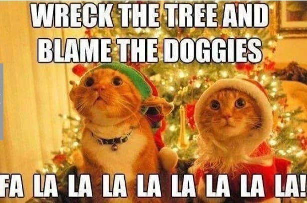 30 Merry Christmas Memes You Can Send To All Of Your Friends 